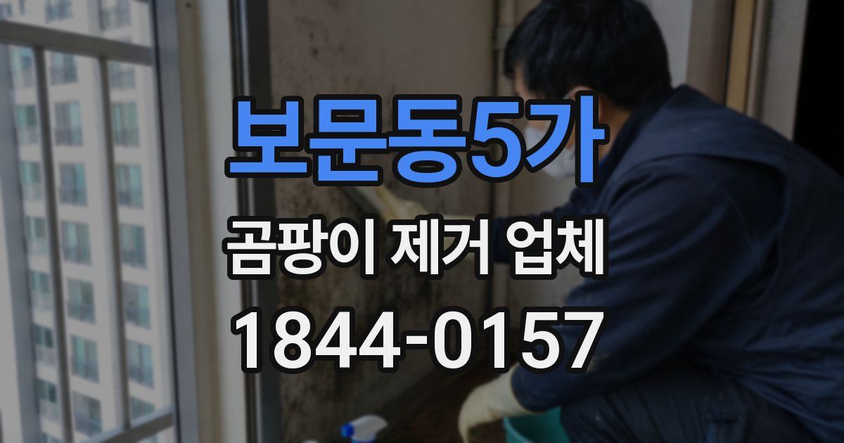 보문동5가 곰팡이 제거 업체