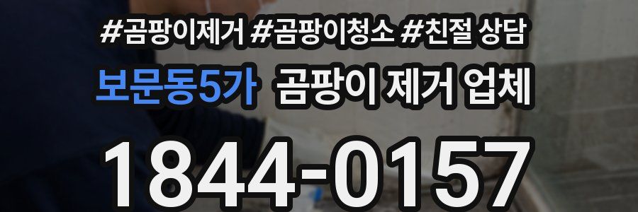 보문동5가 곰팡이 제거 업체