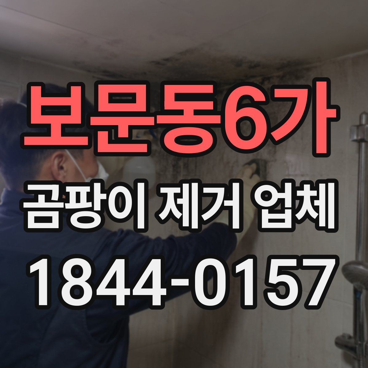 보문동6가 곰팡이 제거 업체