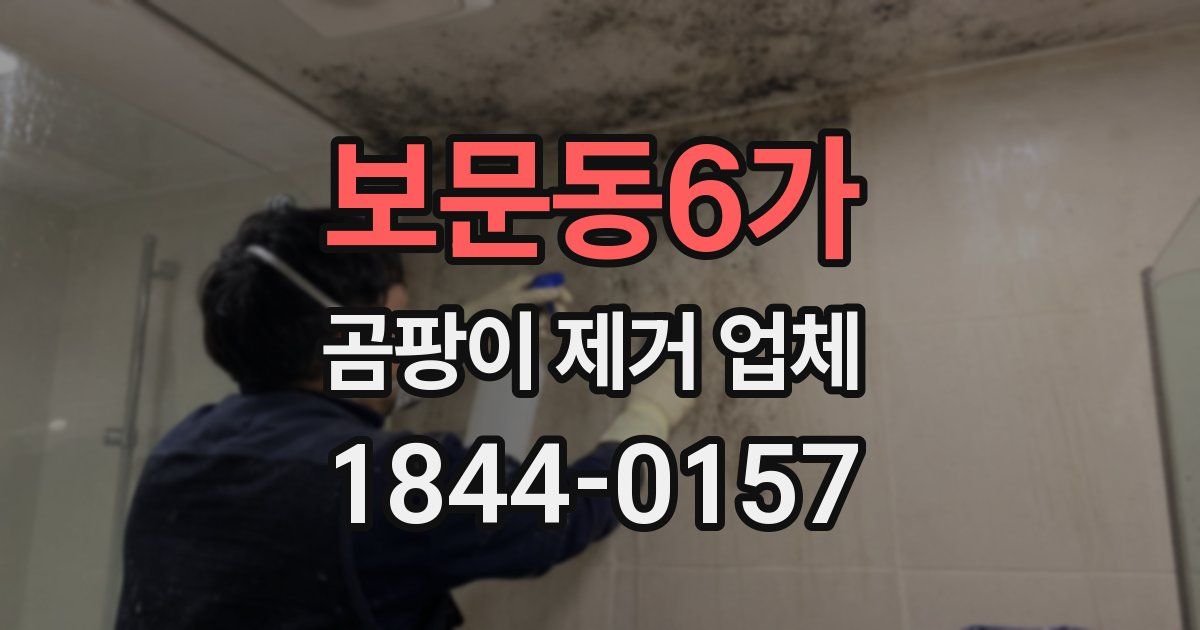 보문동6가 곰팡이 제거 업체