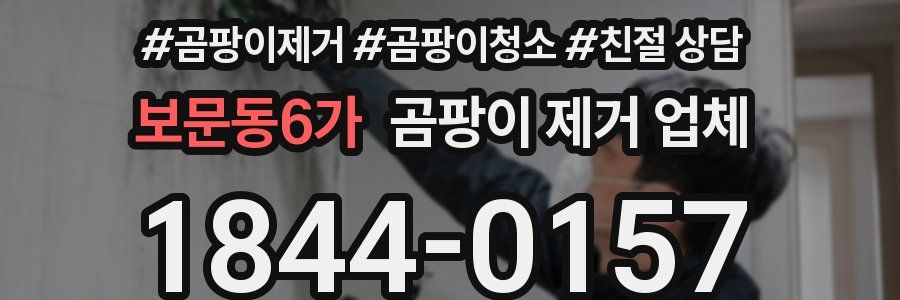 보문동6가 곰팡이 제거 업체