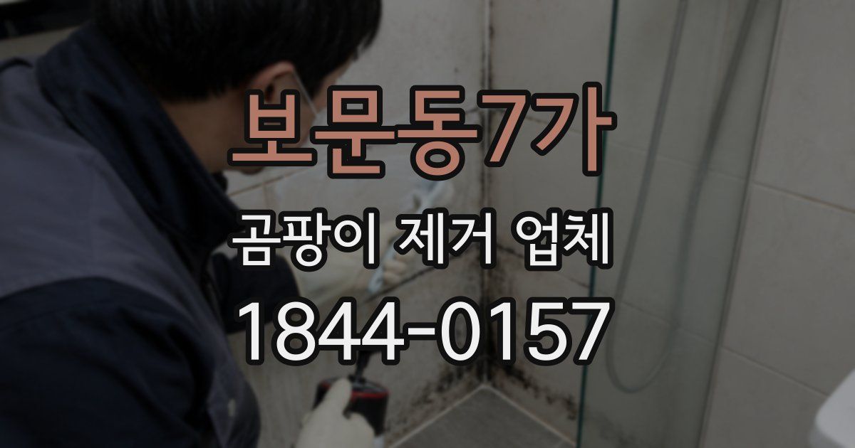 보문동7가 곰팡이 제거 업체