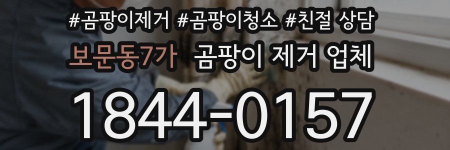 보문동7가 곰팡이 제거 업체