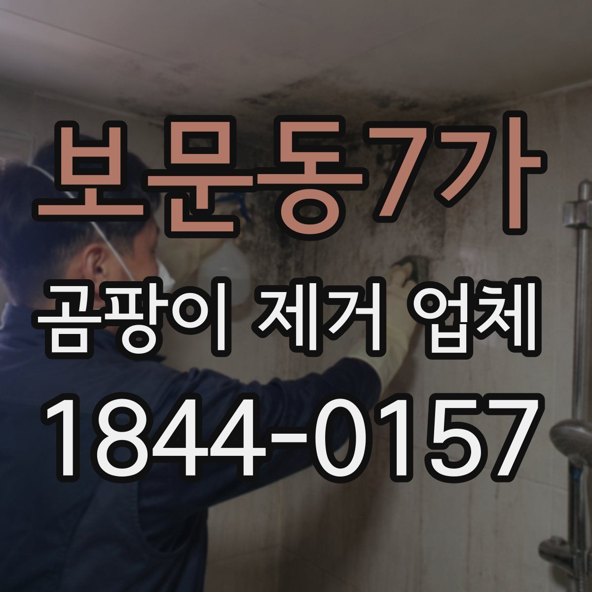 보문동7가 곰팡이 제거 업체