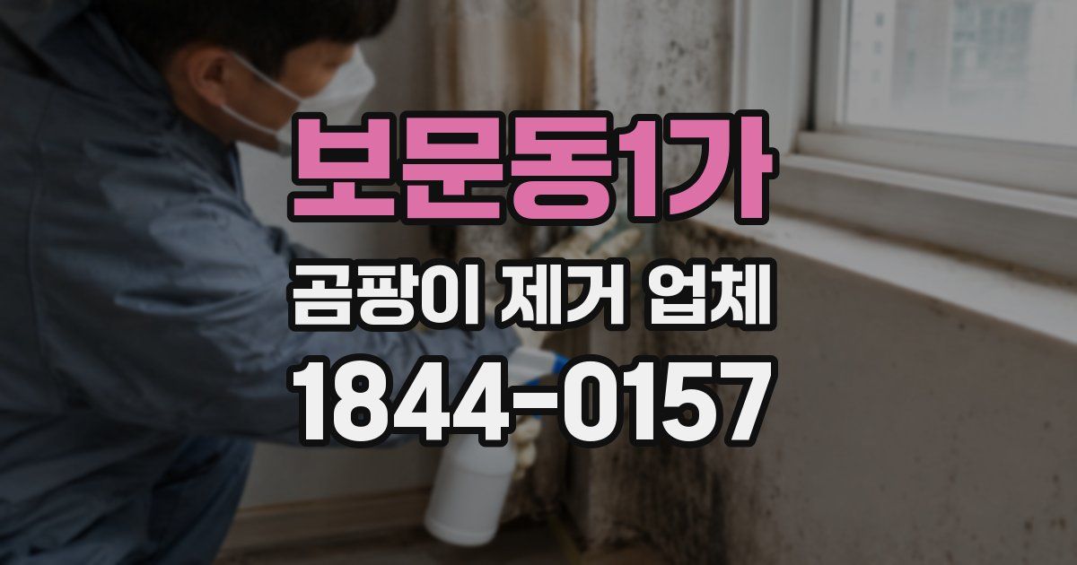 보문동1가 곰팡이 제거 업체