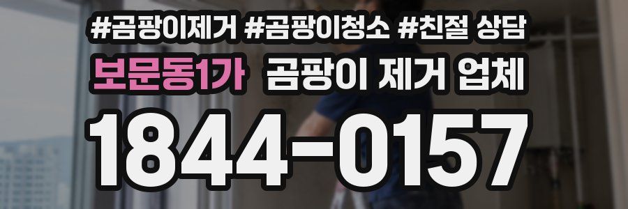 보문동1가 곰팡이 제거 업체