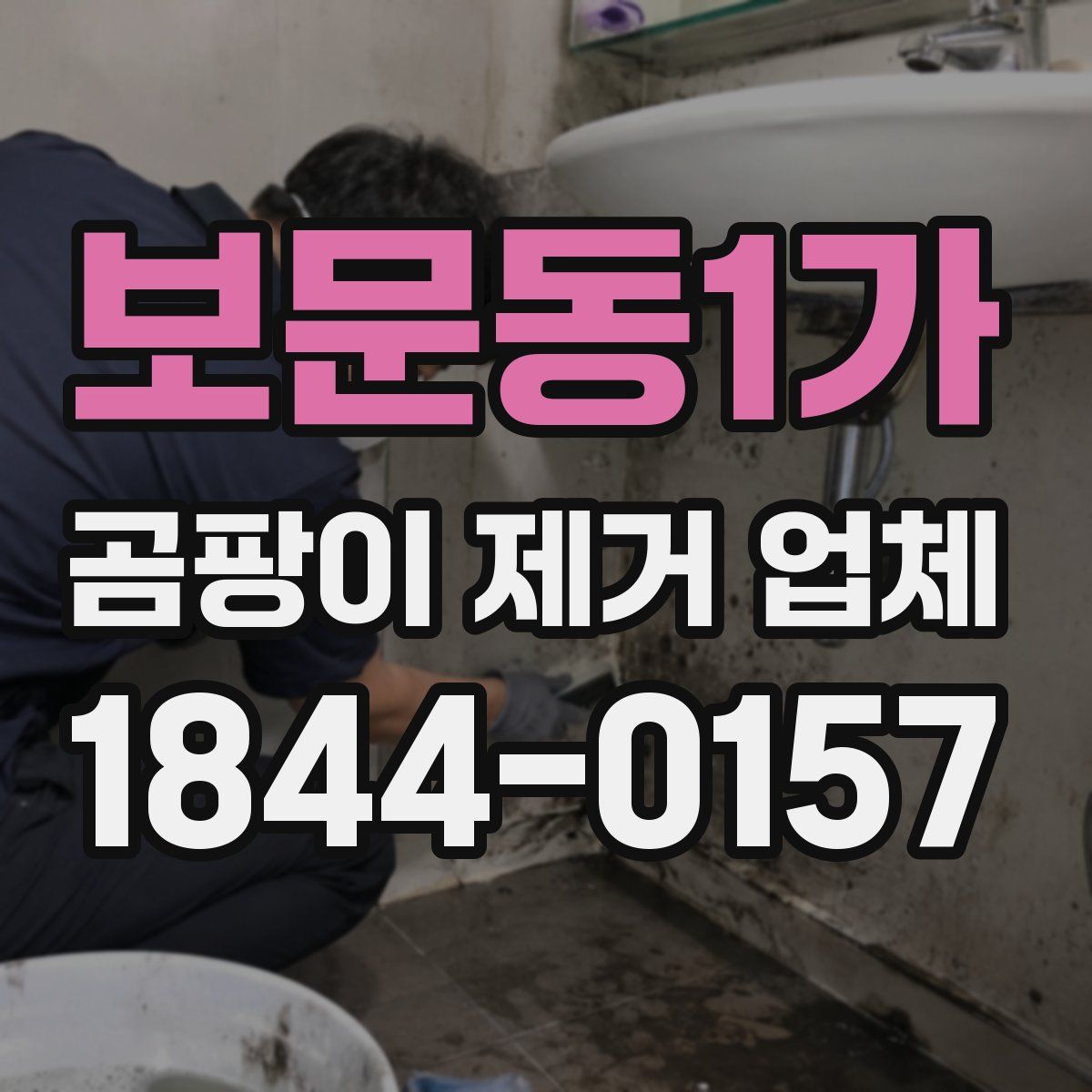 보문동1가 곰팡이 제거 업체