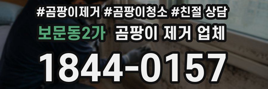 보문동2가 곰팡이 제거 업체