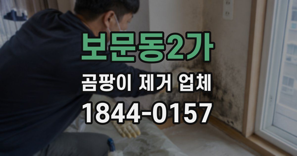 보문동2가 곰팡이 제거 업체