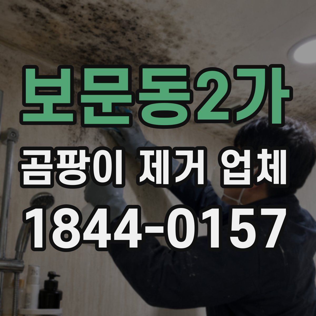 보문동2가 곰팡이 제거 업체