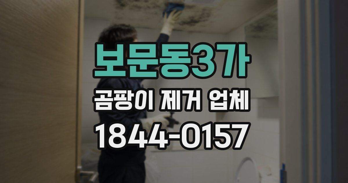 보문동3가 곰팡이 제거 업체