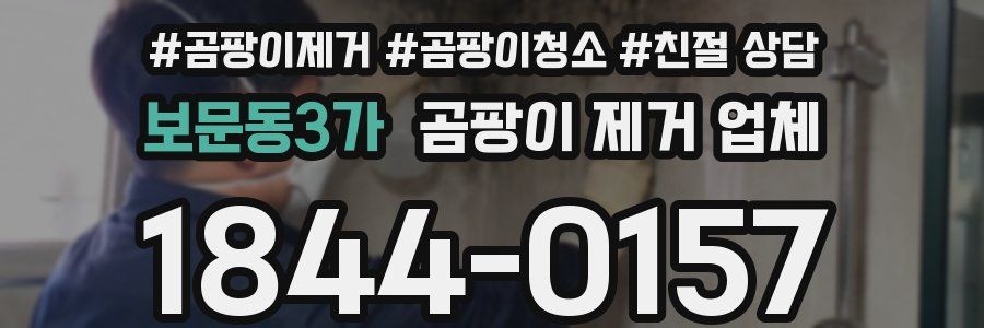 보문동3가 곰팡이 제거 업체