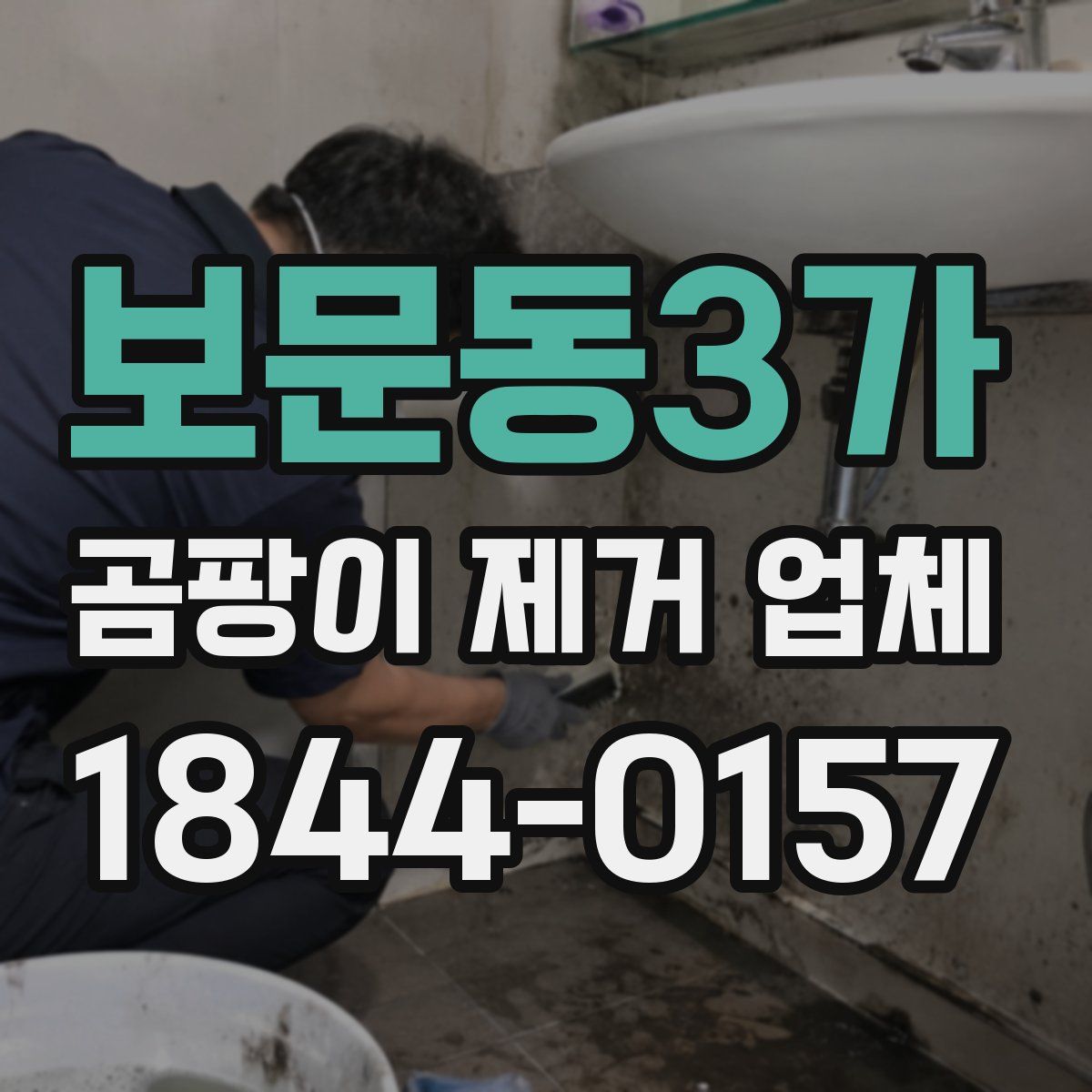 보문동3가 곰팡이 제거 업체