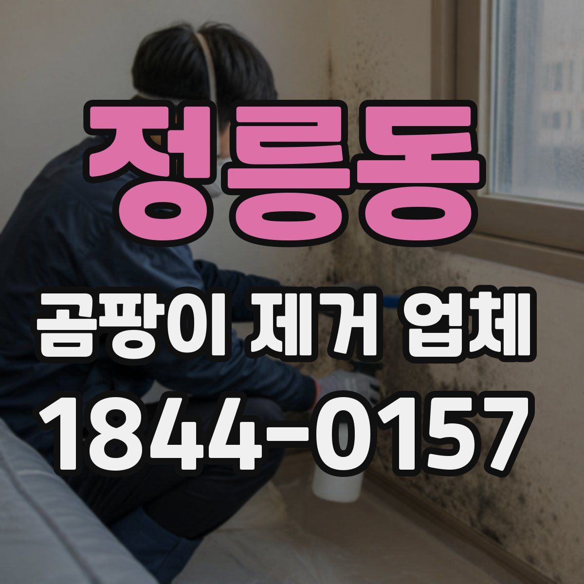 정릉동 곰팡이 제거 업체