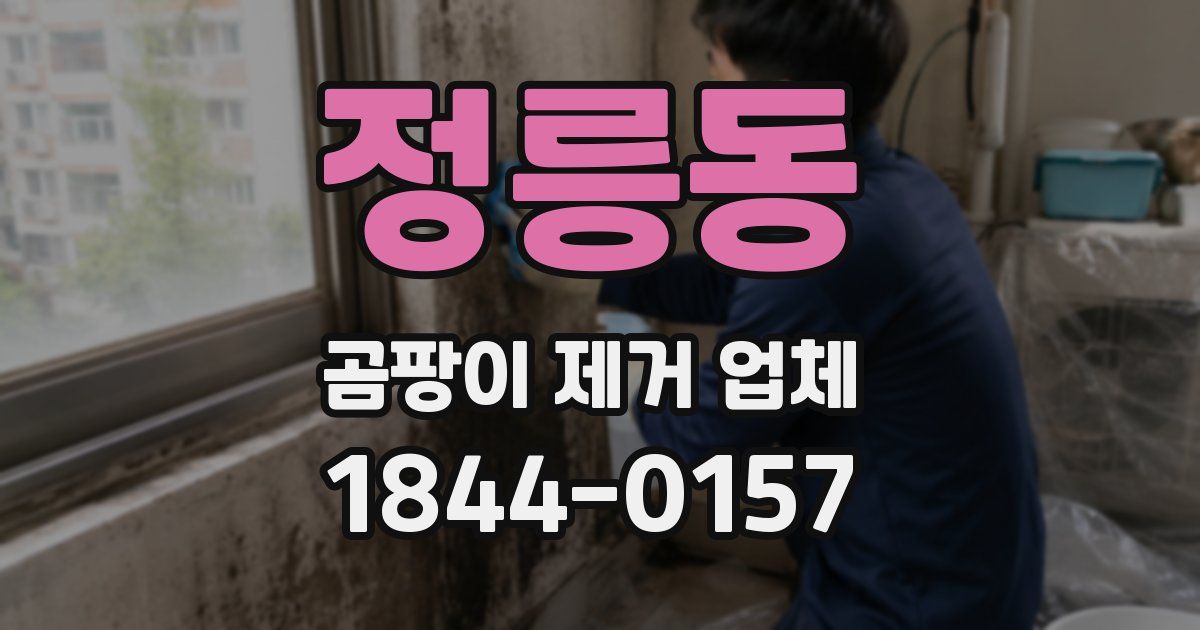 정릉동 곰팡이 제거 업체