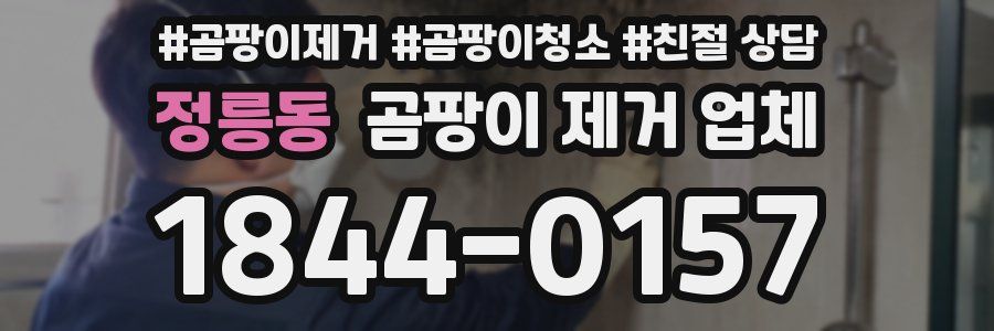 정릉동 곰팡이 제거 업체