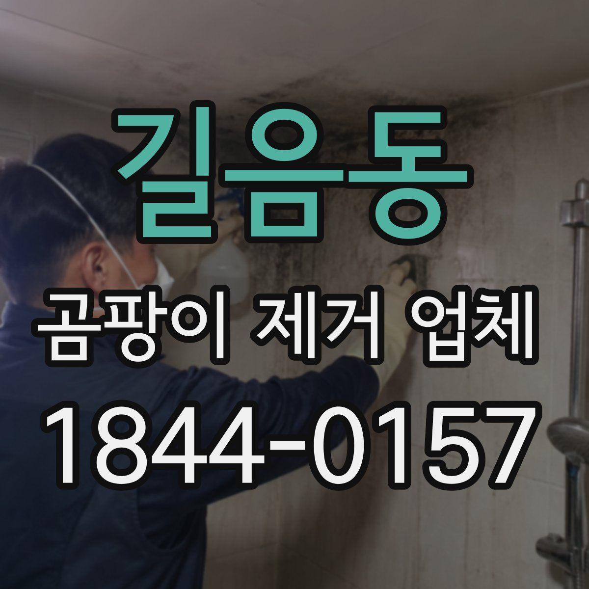 길음동 곰팡이 제거 업체