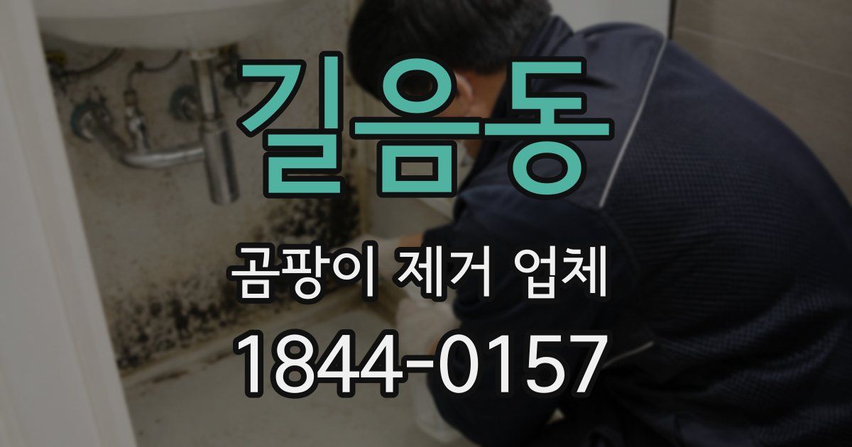 길음동 곰팡이 제거 업체