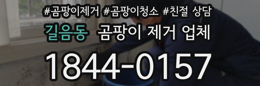 길음동 곰팡이 제거 업체