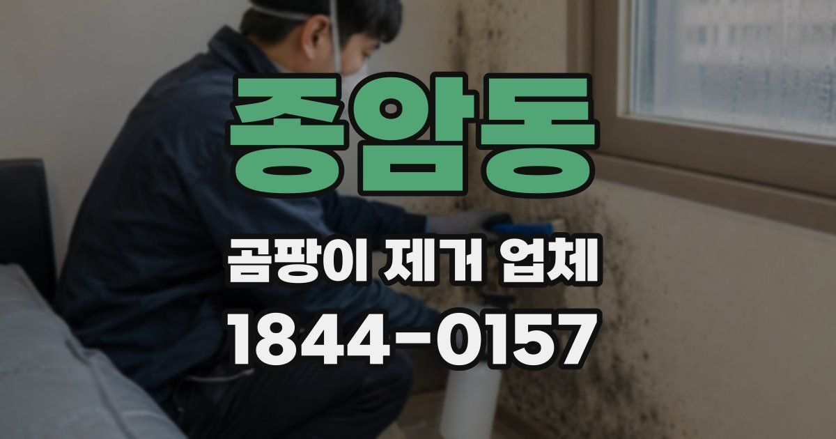 종암동 곰팡이 제거 업체