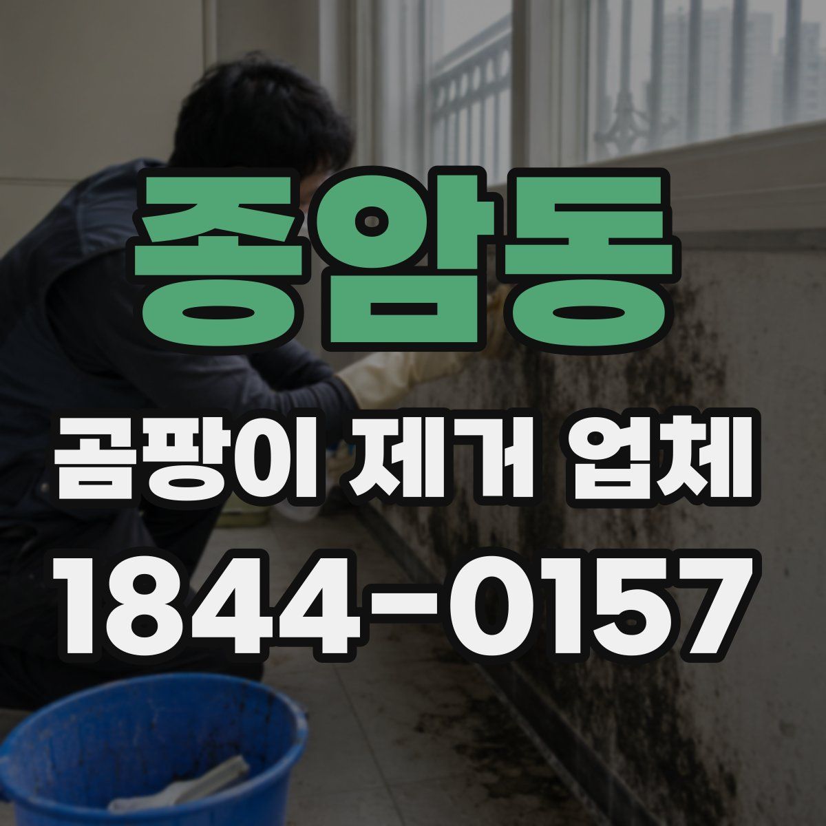 종암동 곰팡이 제거 업체