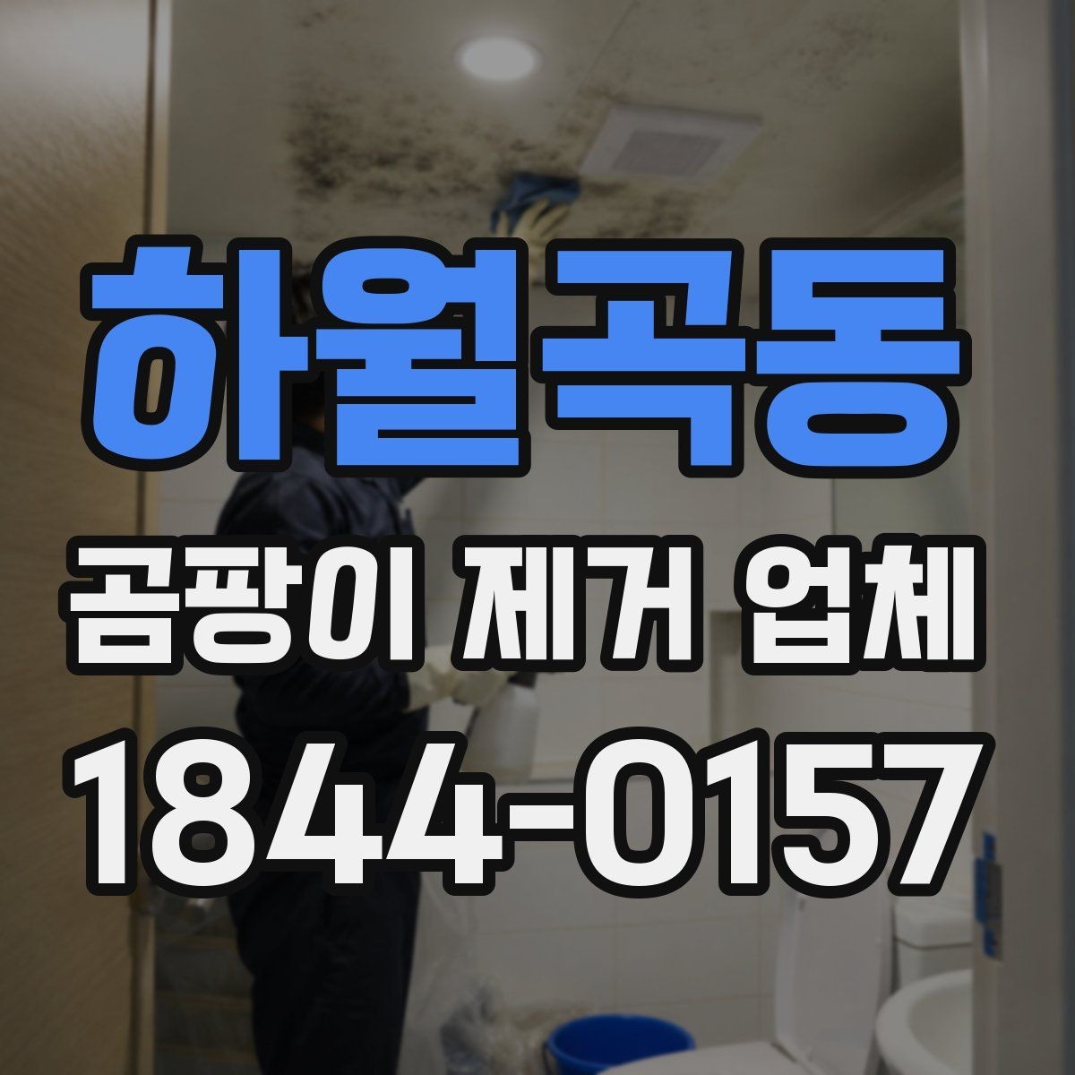 하월곡동 곰팡이 제거 업체 서비스 범위를 꼼꼼히 보는 방법