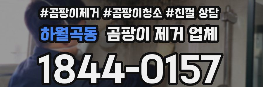 하월곡동 곰팡이 제거 업체