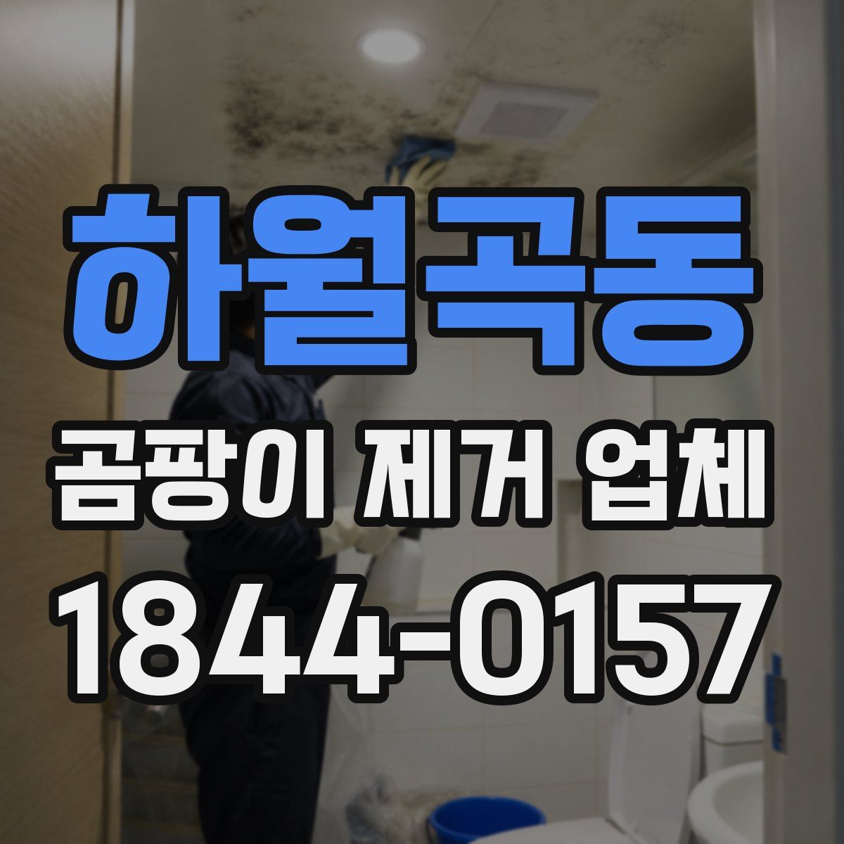 하월곡동 곰팡이 제거 업체