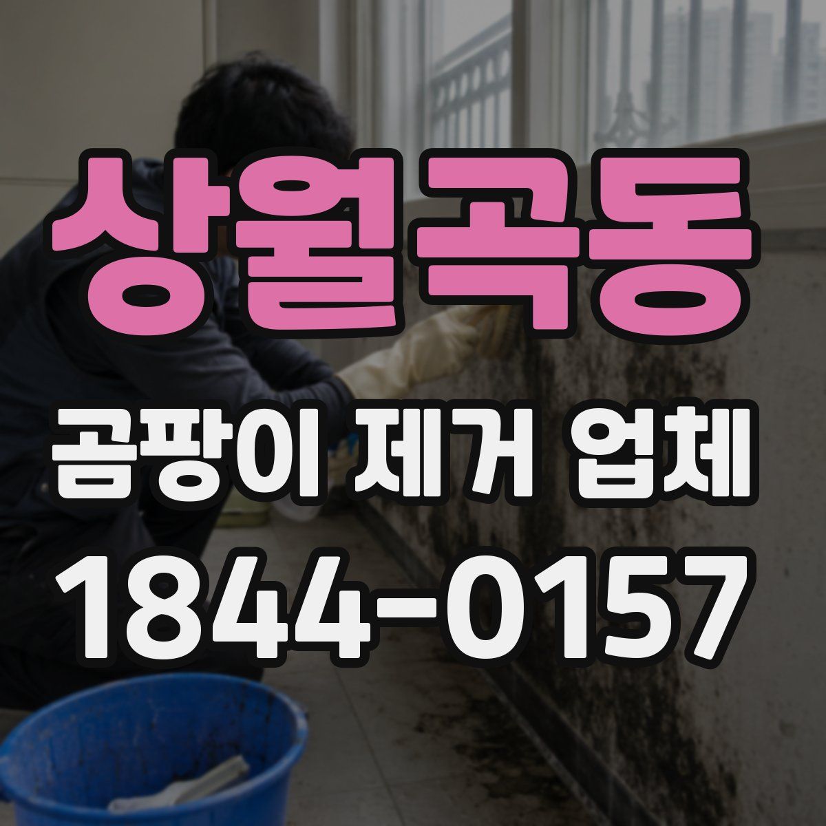 상월곡동 곰팡이 제거 업체