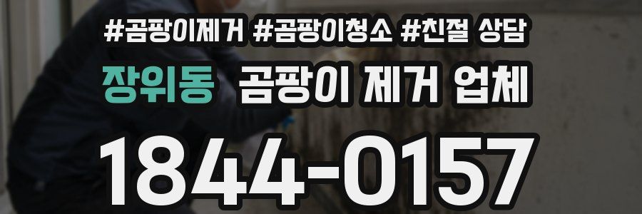 장위동 곰팡이 제거 업체
