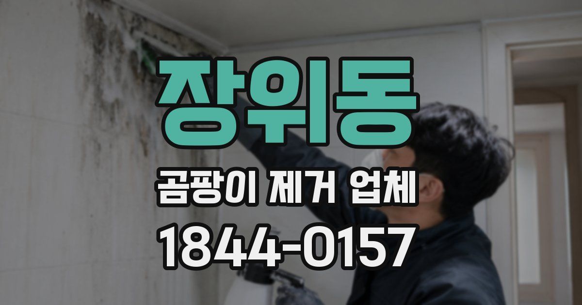 장위동 곰팡이 제거 업체