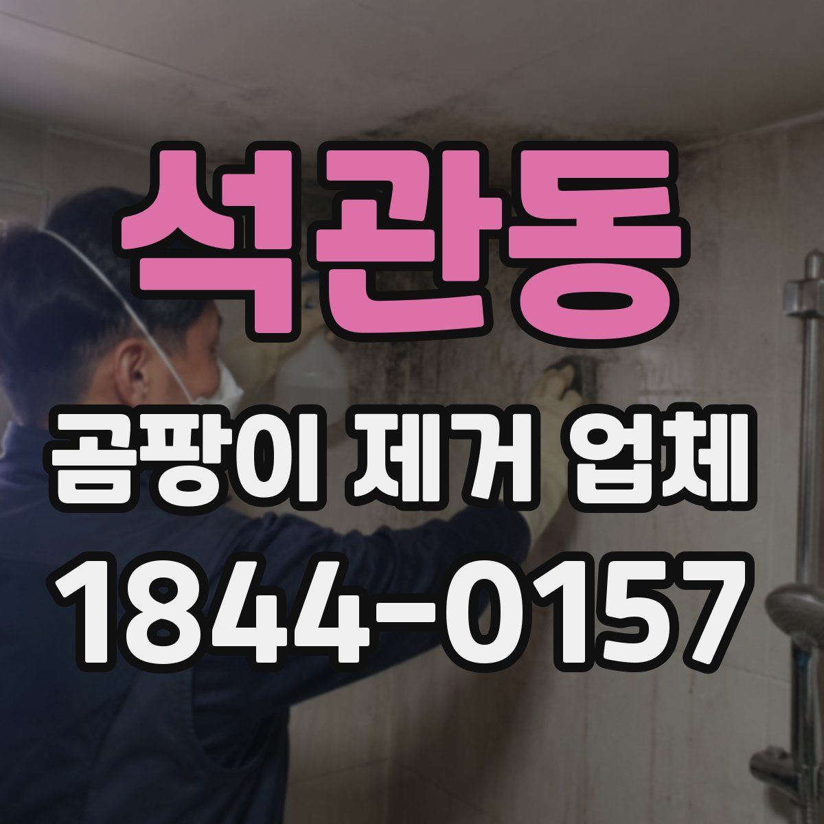 석관동 곰팡이 제거 업체