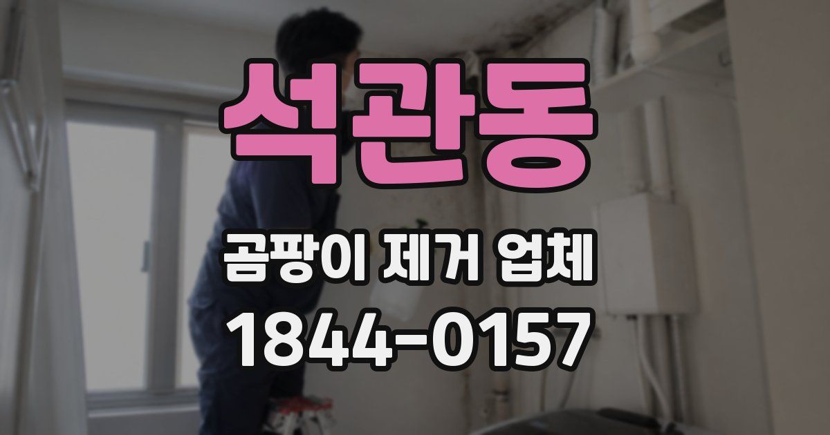석관동 곰팡이 제거 업체