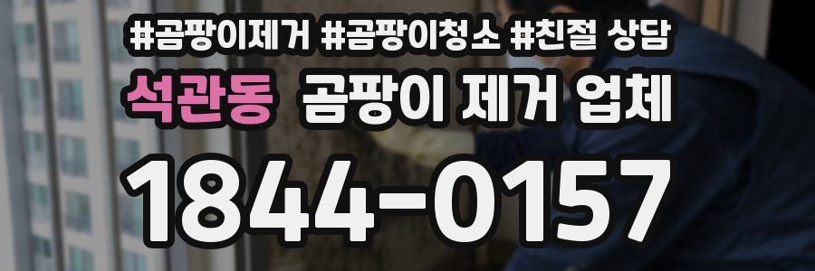 석관동 곰팡이 제거 업체