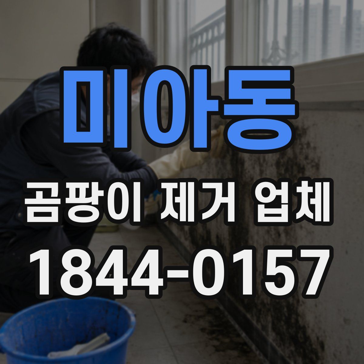 미아동 곰팡이 제거 업체
