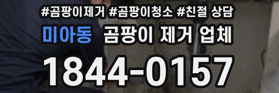 미아동 곰팡이 제거 업체