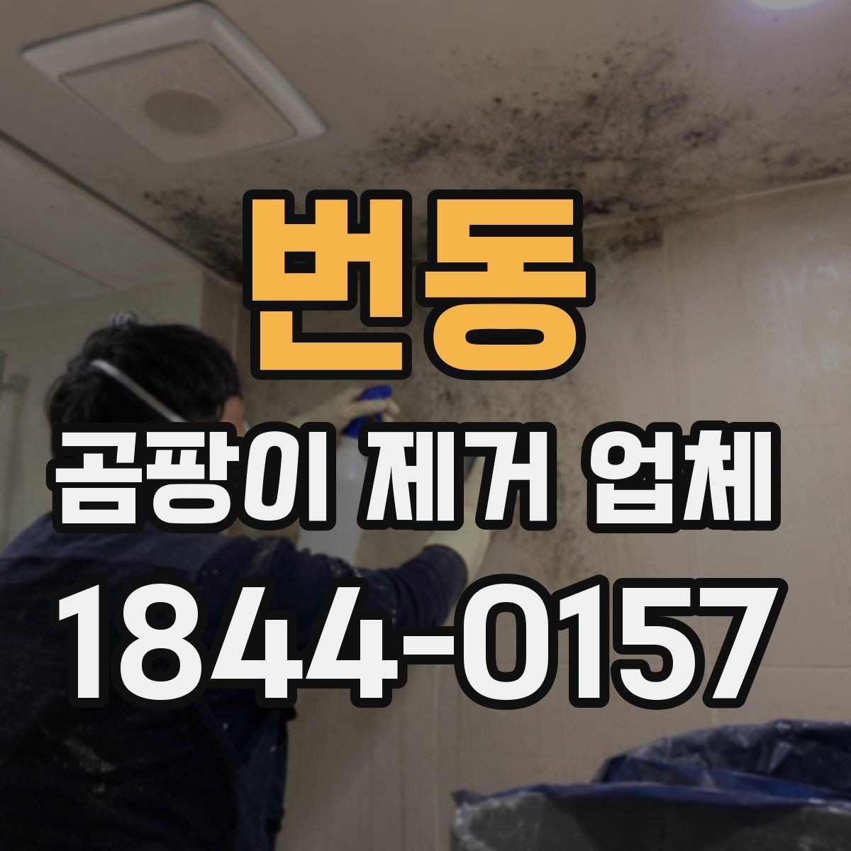 번동 곰팡이 제거 업체 문의 전에 알아두면 좋은 정보