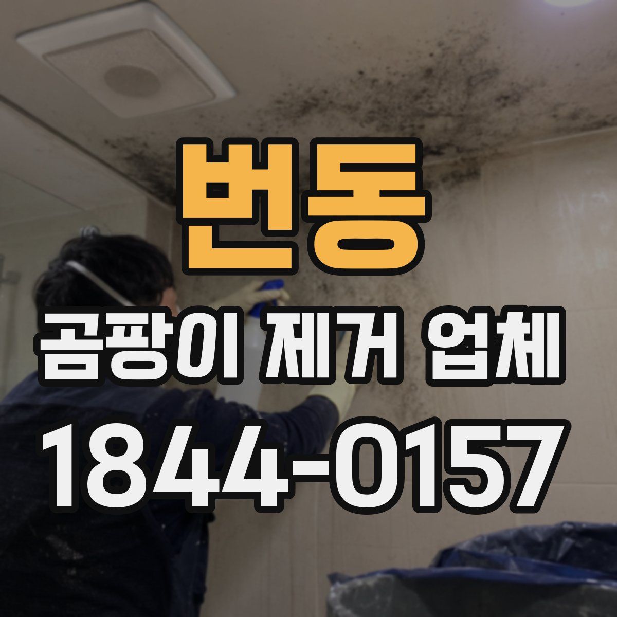 번동 곰팡이 제거 업체