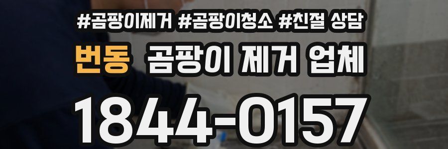 번동 곰팡이 제거 업체