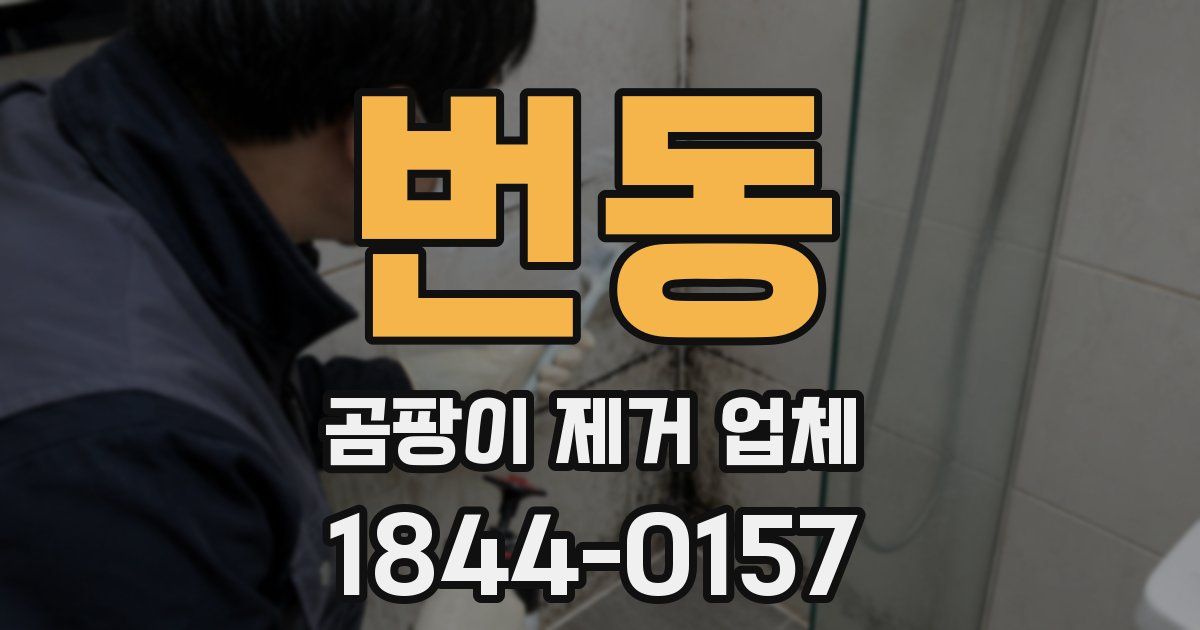 번동 곰팡이 제거 업체