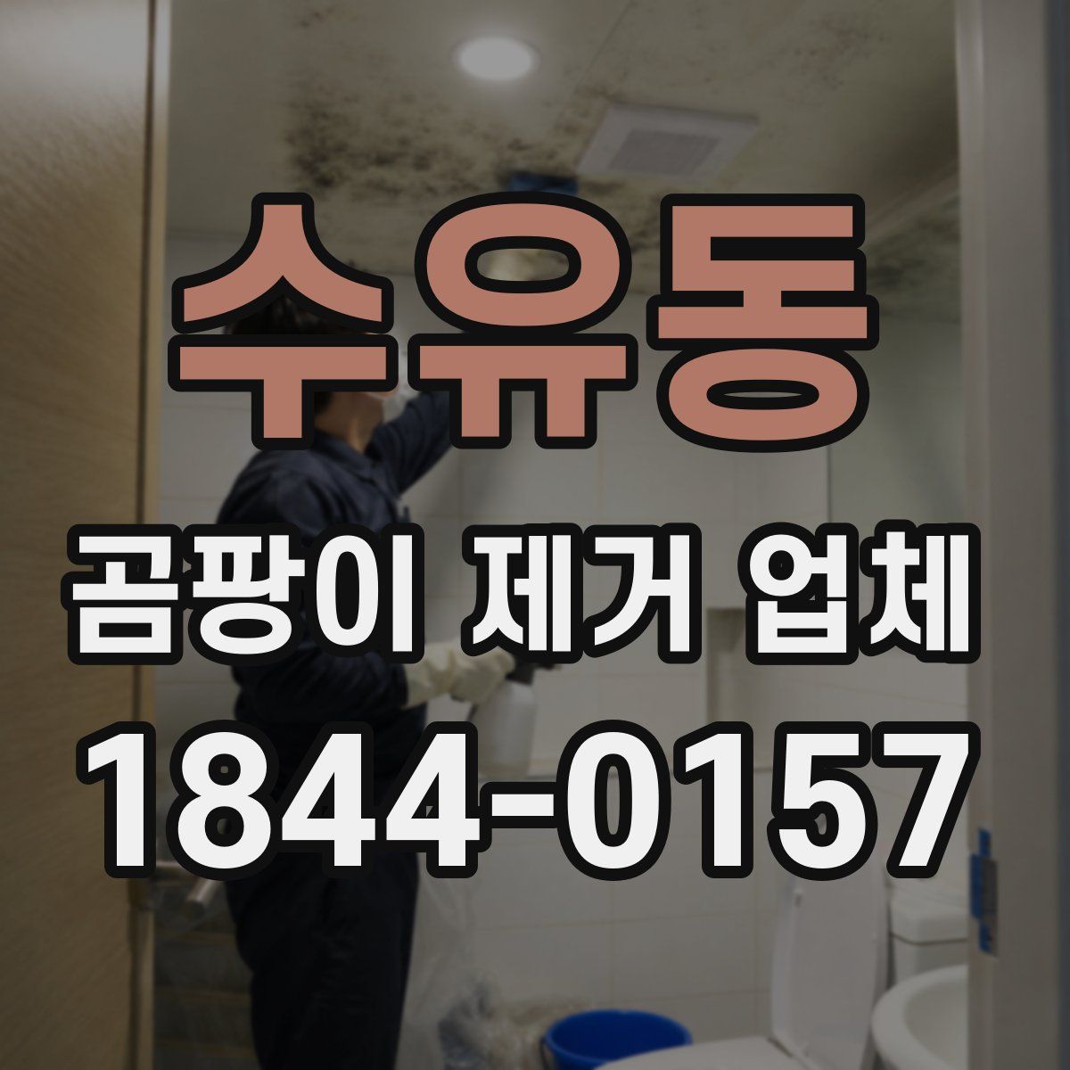 수유동 곰팡이 제거 업체