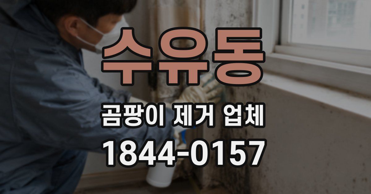 수유동 곰팡이 제거 업체