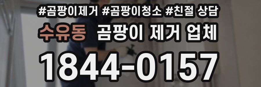 수유동 곰팡이 제거 업체