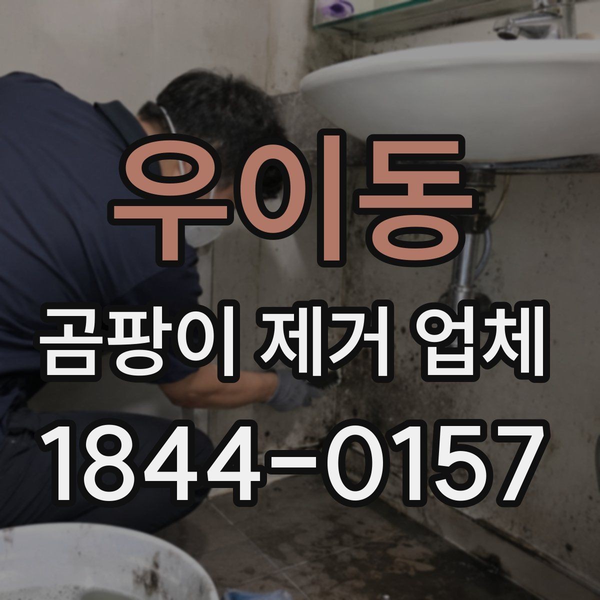 우이동 곰팡이 제거 업체 이용 전 알아두면 좋은 기본 정보