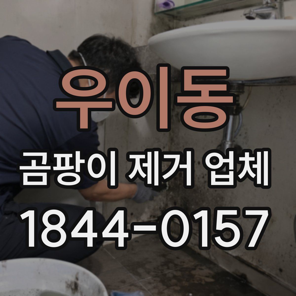 우이동 곰팡이 제거 업체
