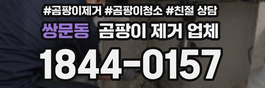 쌍문동 곰팡이 제거 업체