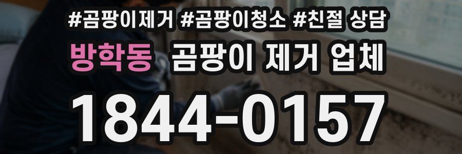 방학동 곰팡이 제거 업체