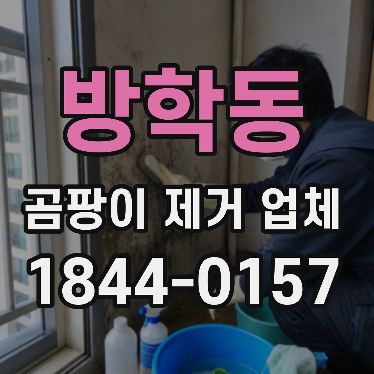 방학동 곰팡이 제거 업체