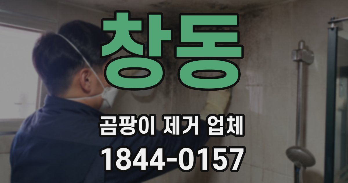 창동 곰팡이 제거 업체