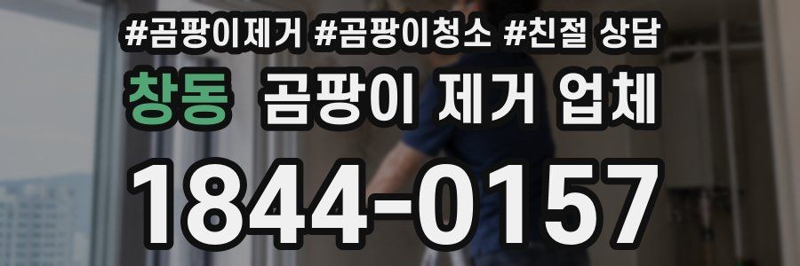 창동 곰팡이 제거 업체